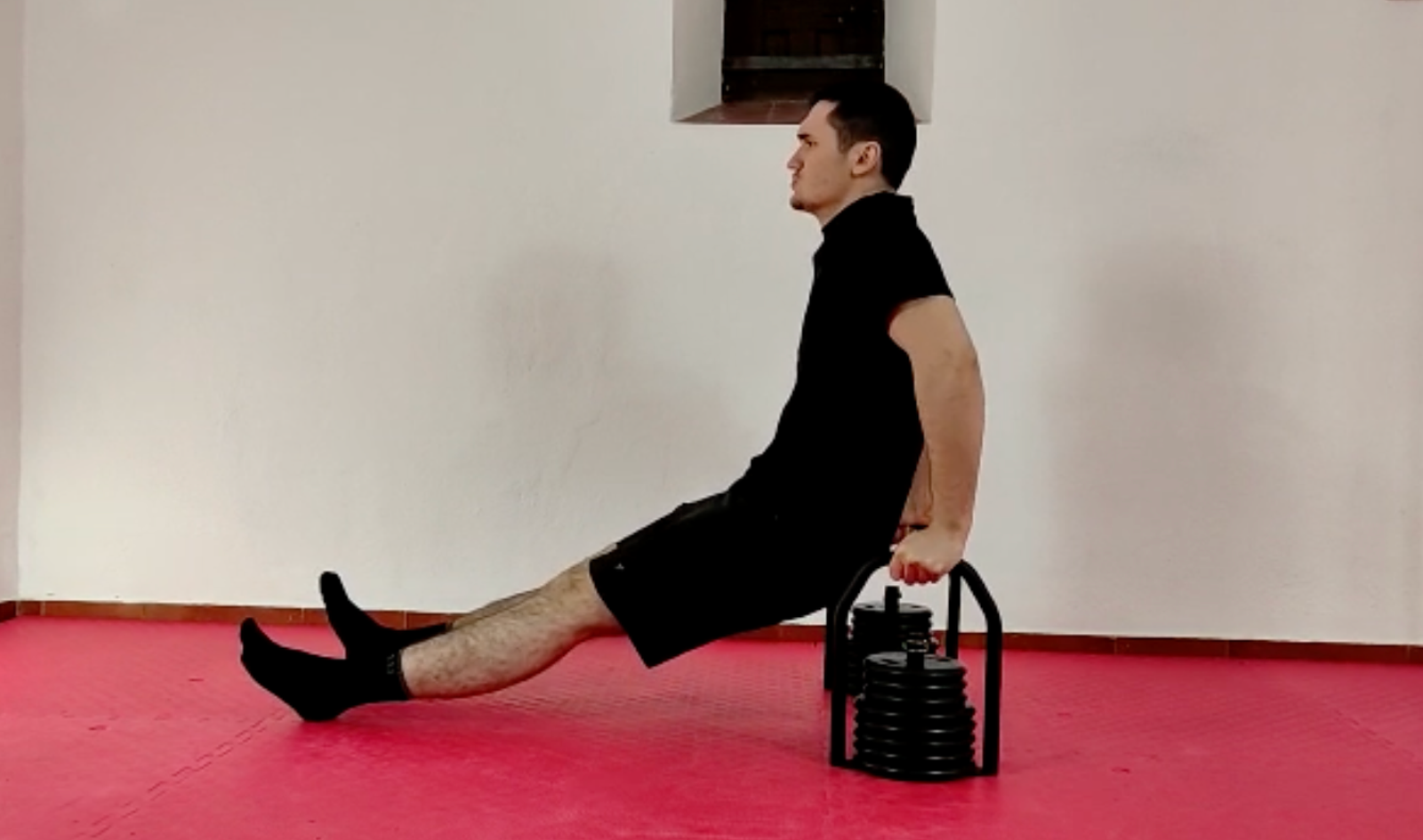 L-sit dip using Regulabell for support